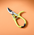 Chartreuse Clippers